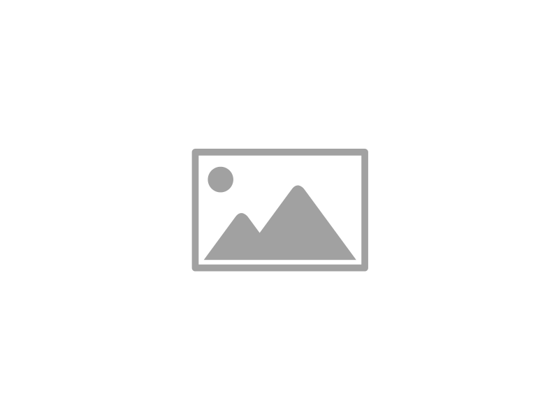 Logo Animations